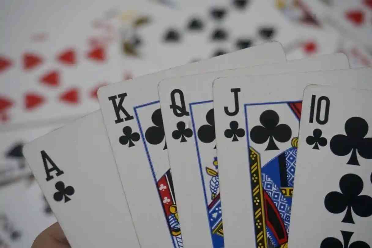 Bridge Champ News & Updates